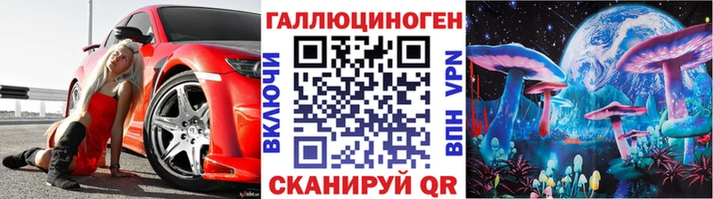 Галлюциногенные грибы Psilocybe  цены   Мезень 